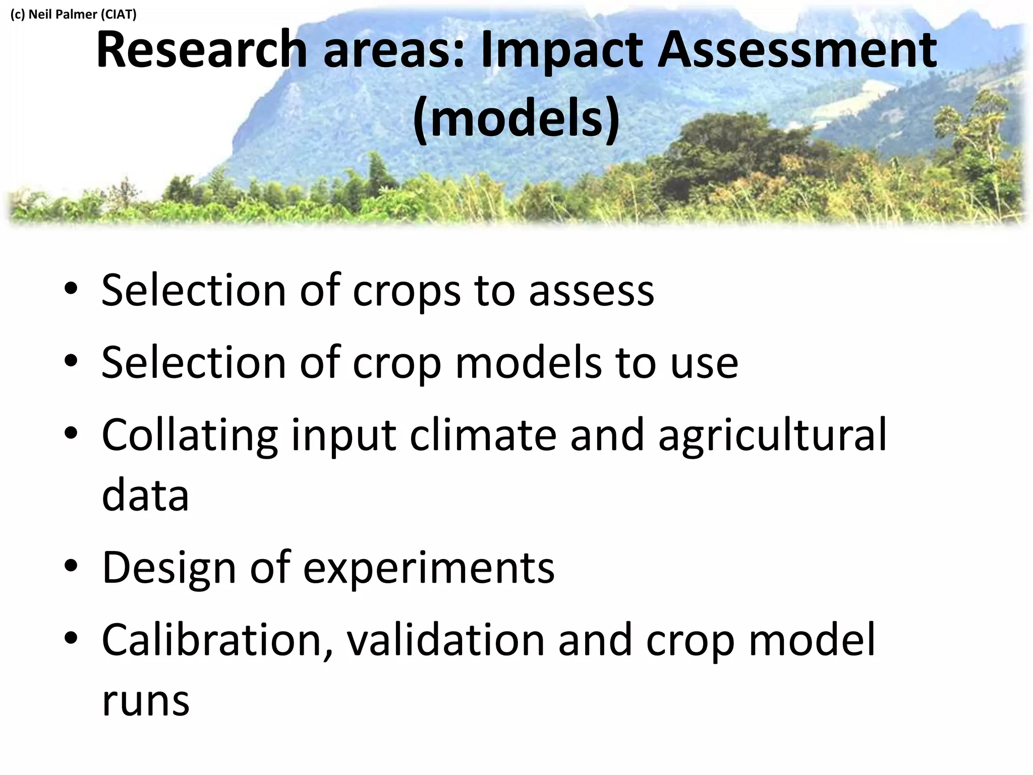 Research areas: Impact Assessment
(models)
• Selection of crops to assess
• Selection of crop models to use
• Collating input climate and agricultural
data
• Design of experiments
• Calibration, validation and crop model
runs
(c) Neil Palmer (CIAT)
 
