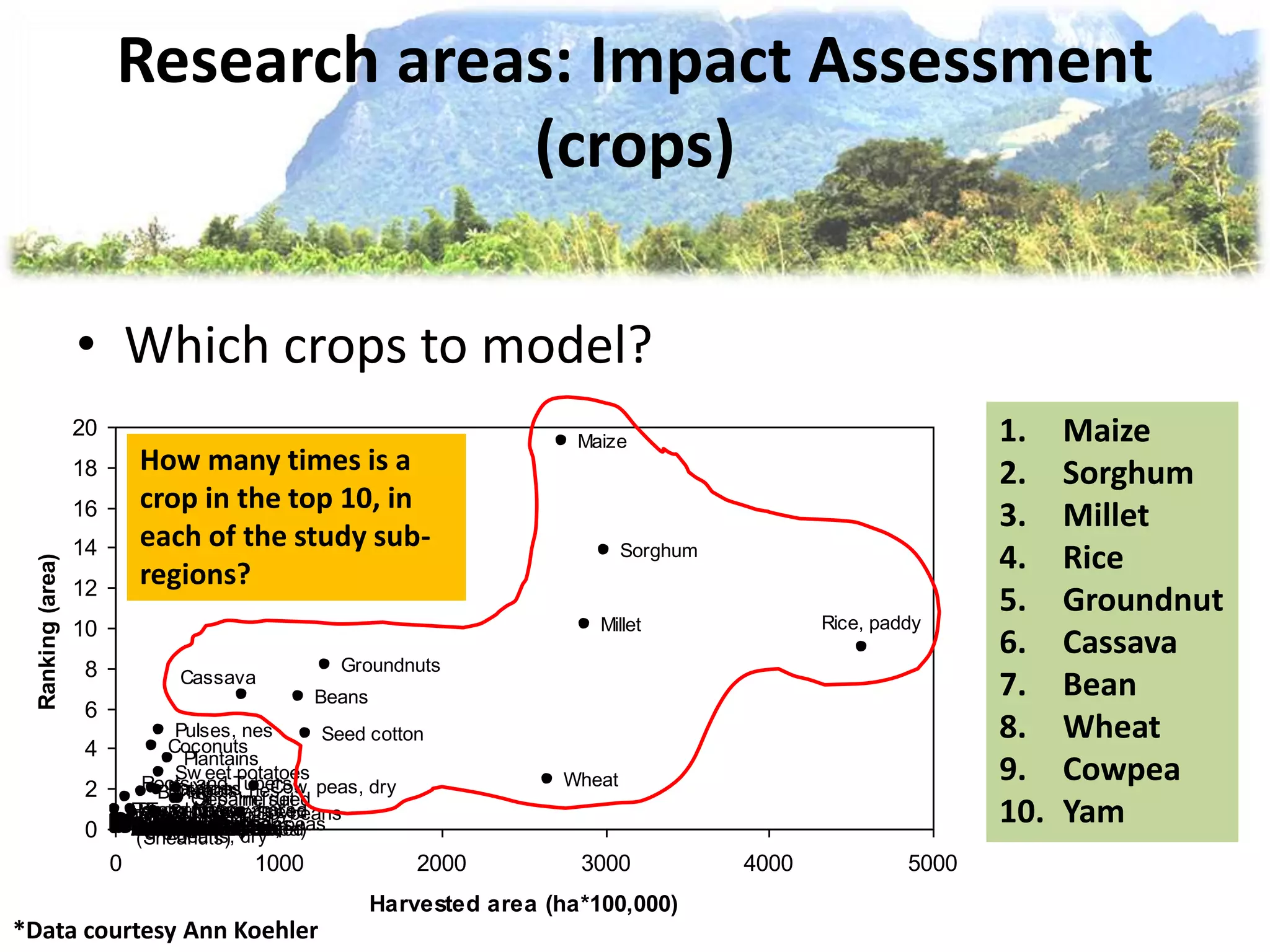 Research areas: Impact Assessment
(crops)
• Which crops to model?
Yautia (cocoyam)
Yams Wheat
VetchesTung NutsTriticale
Taro (cocoyam)
Sw eet potatoes
Sunflow er seedSoybeans
Sorghum
Sisal
Sesame seed
Seed cotton
Safflow er seed
Rye
Roots and Tubers,
nes
Rice, paddy
RapeseedRamieQuinoa
Pulses, nes
Potatoes
Poppy seed
Popcorn
Plantains
Pigeon peas
Peas, dry
Other BastfibresOlivesOilseeds, Nes
Oil palm fruit
OatsMustard seedMixed grain
Millet
MelonseedManila Fibre (Abaca)
Maize
LupinsLinseedLentils
Karite Nuts
(Sheanuts)JuteHempseedHemp Tow Waste
Groundnuts
Fonio
Flax fibre and tow
Fibre Crops Nes
Cow peas, dry
Coconuts
Chick peas
Cereals, nes
Castor oil seed
Cassava
Canary seedBuckw heat
Broad beans, horse
beans, dry
Beans
Barley
Bambara beansAgave Fibres Nes0
2
4
6
8
10
12
14
16
18
20
0 1000 2000 3000 4000 5000
Harvested area (ha*100,000)
Ranking(area)
How many times is a
crop in the top 10, in
each of the study sub-
regions?
*Data courtesy Ann Koehler
1. Maize
2. Sorghum
3. Millet
4. Rice
5. Groundnut
6. Cassava
7. Bean
8. Wheat
9. Cowpea
10. Yam
 