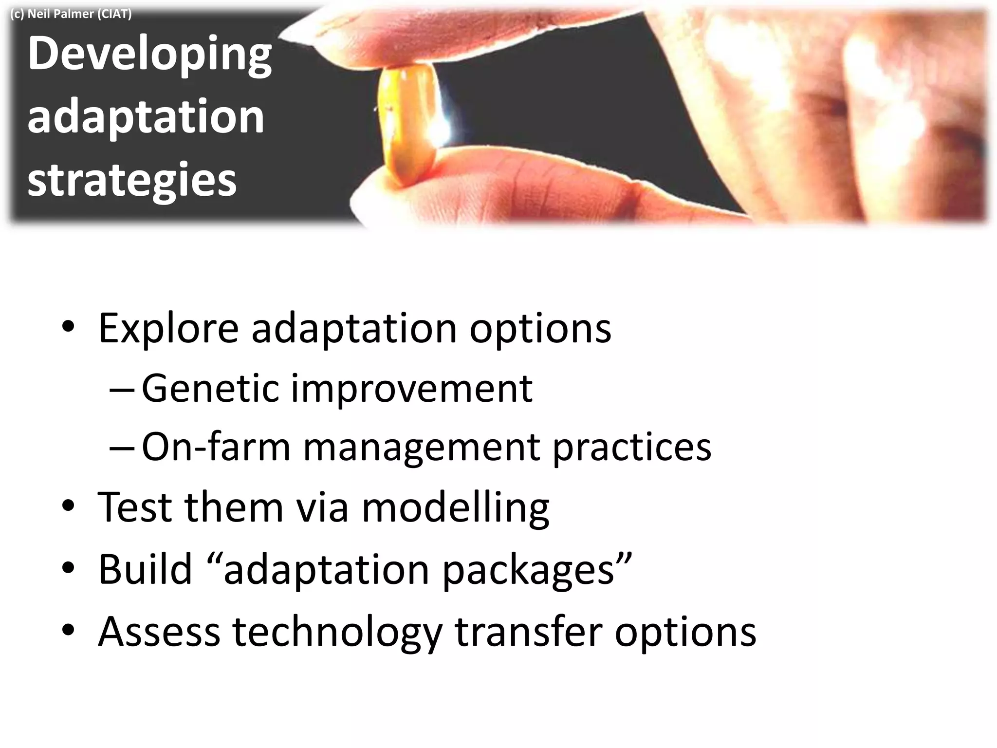 Developing
adaptation
strategies
• Explore adaptation options
–Genetic improvement
–On-farm management practices
• Test them via modelling
• Build “adaptation packages”
• Assess technology transfer options
(c) Neil Palmer (CIAT)
 