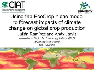 Using the EcoCrop niche model to forecast impacts of climate change on global crop production Julián Ramírez and Andy Jarvis International Centre for Tropical Agriculture (CIAT) Bioversity International Cali, Colombia 