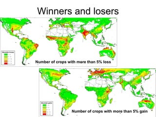 Julian R - Using the EcoCrop model and database to forecast impacts of cc