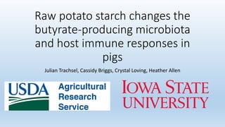 Raw potato starch changes the
butyrate-producing microbiota
and host immune responses in
pigs
Julian Trachsel, Cassidy Briggs, Crystal Loving, Heather Allen
 