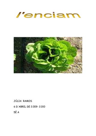 JÚLIA RAMOS

6 D'ABRIL DE 2.009- 2.010

5È A
 