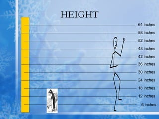 HEIGHT 6 inches 12 inches 18 inches 24 inches 30 inches 36 inches 42 inches 48 inches 52 inches 58 inches 64 inches 