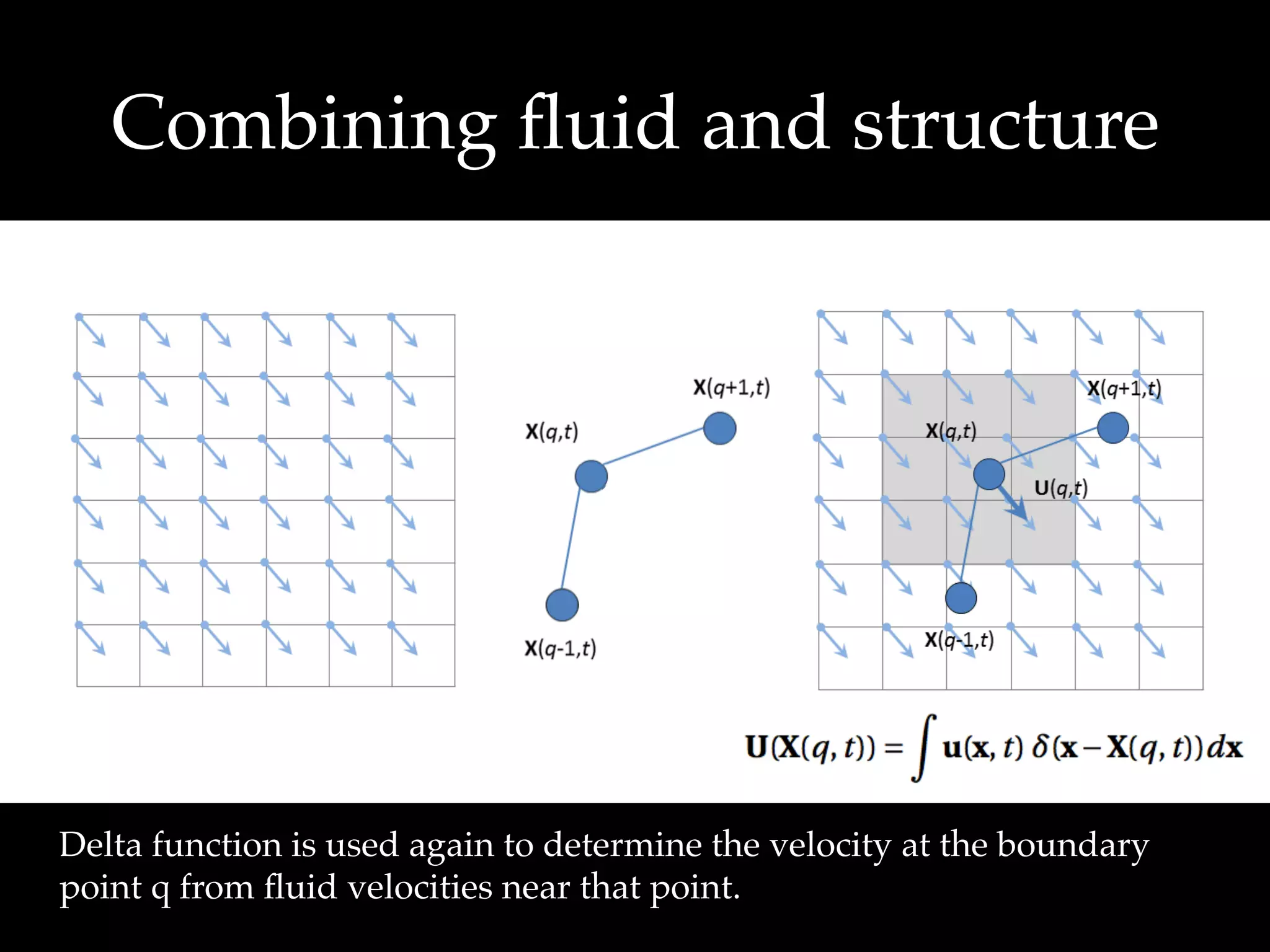 The immersed boundary method, from 2D fibres to 3D finite elements | PDF