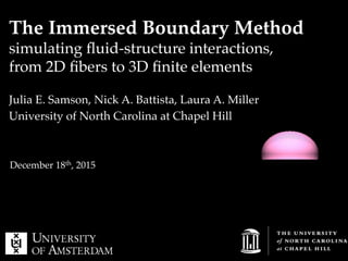 The Immersed Boundary Method!
simulating ﬂuid-structure interactions,!
from 2D ﬁbers to 3D ﬁnite elements !
Julia E. Samson, Nick A. Battista, Laura A. Miller"
University of North Carolina at Chapel Hill"
December 18th, 2015"
 