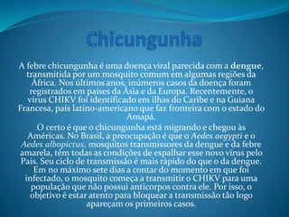 A febre chicungunha é uma doença viral parecida com a dengue,
transmitida por um mosquito comum em algumas regiões da
África. Nos últimos anos, inúmeros casos da doença foram
registrados em países da Ásia e da Europa. Recentemente, o
vírus CHIKV foi identificado em ilhas do Caribe e na Guiana
Francesa, país latino-americano que faz fronteira com o estado do
Amapá.
O certo é que o chicungunha está migrando e chegou às
Américas. No Brasil, a preocupação é que o Aedes aegypti e o
Aedes albopictus, mosquitos transmissores da dengue e da febre
amarela, têm todas as condições de espalhar esse novo vírus pelo
País. Seu ciclo de transmissão é mais rápido do que o da dengue.
Em no máximo sete dias a contar do momento em que foi
infectado, o mosquito começa a transmitir o CHIKV para uma
população que não possui anticorpos contra ele. Por isso, o
objetivo é estar atento para bloquear a transmissão tão logo
apareçam os primeiros casos.
 