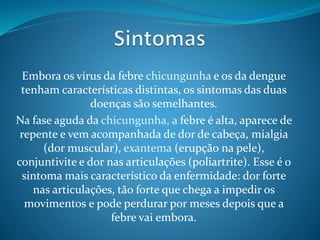 Embora os vírus da febre chicungunha e os da dengue
tenham características distintas, os sintomas das duas
doenças são semelhantes.
Na fase aguda da chicungunha, a febre é alta, aparece de
repente e vem acompanhada de dor de cabeça, mialgia
(dor muscular), exantema (erupção na pele),
conjuntivite e dor nas articulações (poliartrite). Esse é o
sintoma mais característico da enfermidade: dor forte
nas articulações, tão forte que chega a impedir os
movimentos e pode perdurar por meses depois que a
febre vai embora.
 