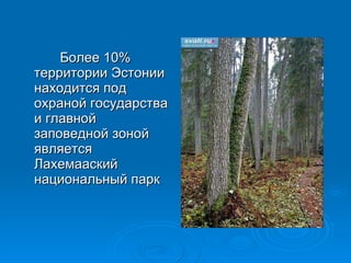   Более 10% территории Эстонии находится под охраной государства и главной заповедной зоной является Лахемааский национальный парк 