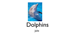 Dolphins
   Julie
 