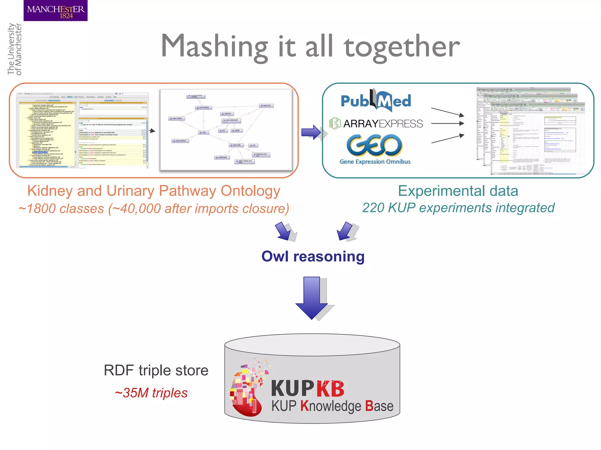Mashing it all together



 Kidney and Urinary Pathway Ontology                          Experimental data
~1800 classes (~40,000 after imports closure)         220 KUP experiments integrated


                                        Owl reasoning




              RDF triple store
               ~35M triples
                                         KUP Knowledge Base
 