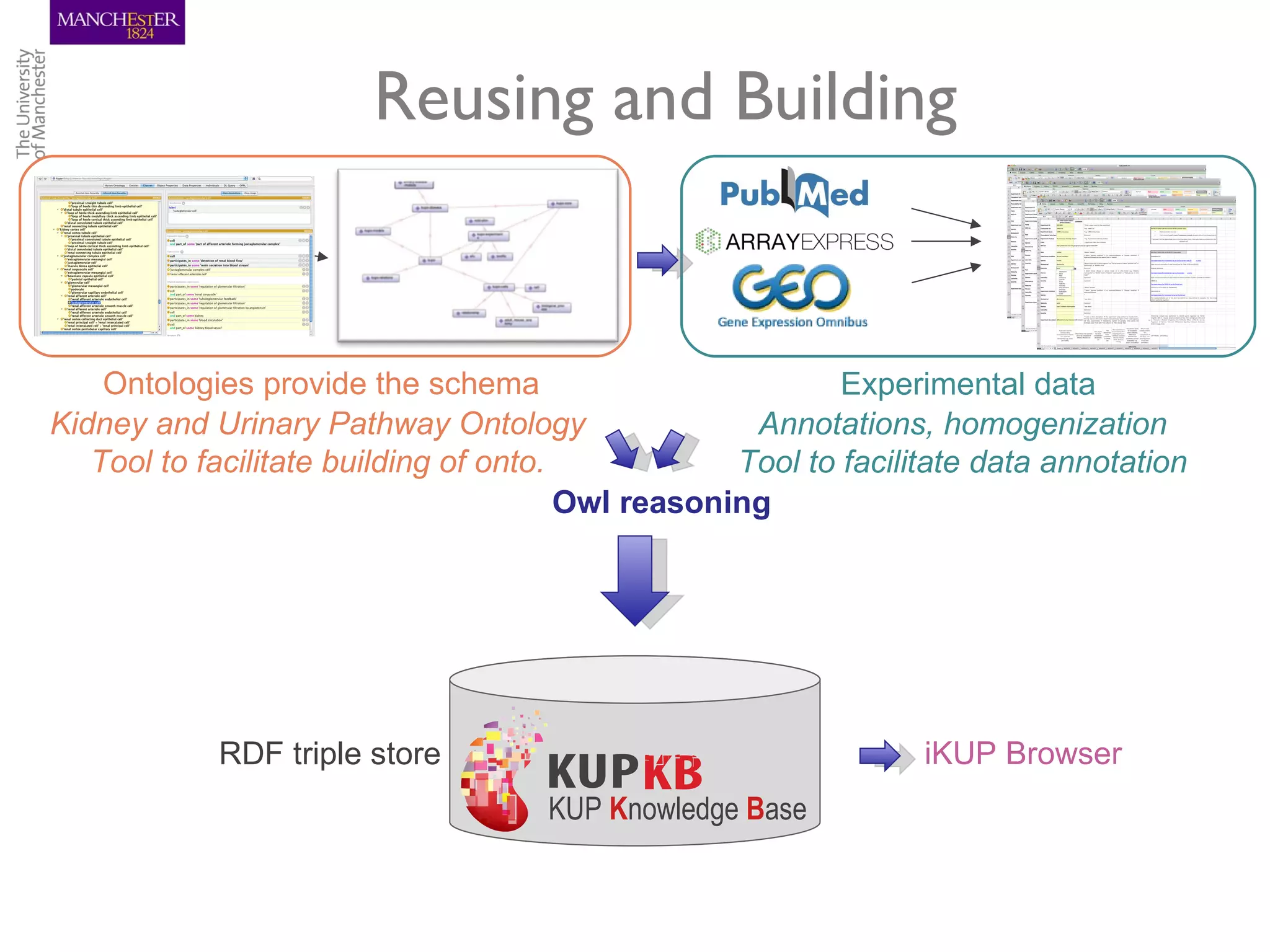 Reusing and Building


    Ontologies provide the schema                          Experimental data
Kidney and Urinary Pathway Ontology                 Annotations, homogenization
   Tool to facilitate building of onto.            Tool to facilitate data annotation
                                        Owl reasoning




            RDF triple store                                     iKUP Browser
                                     KUP Knowledge Base
 