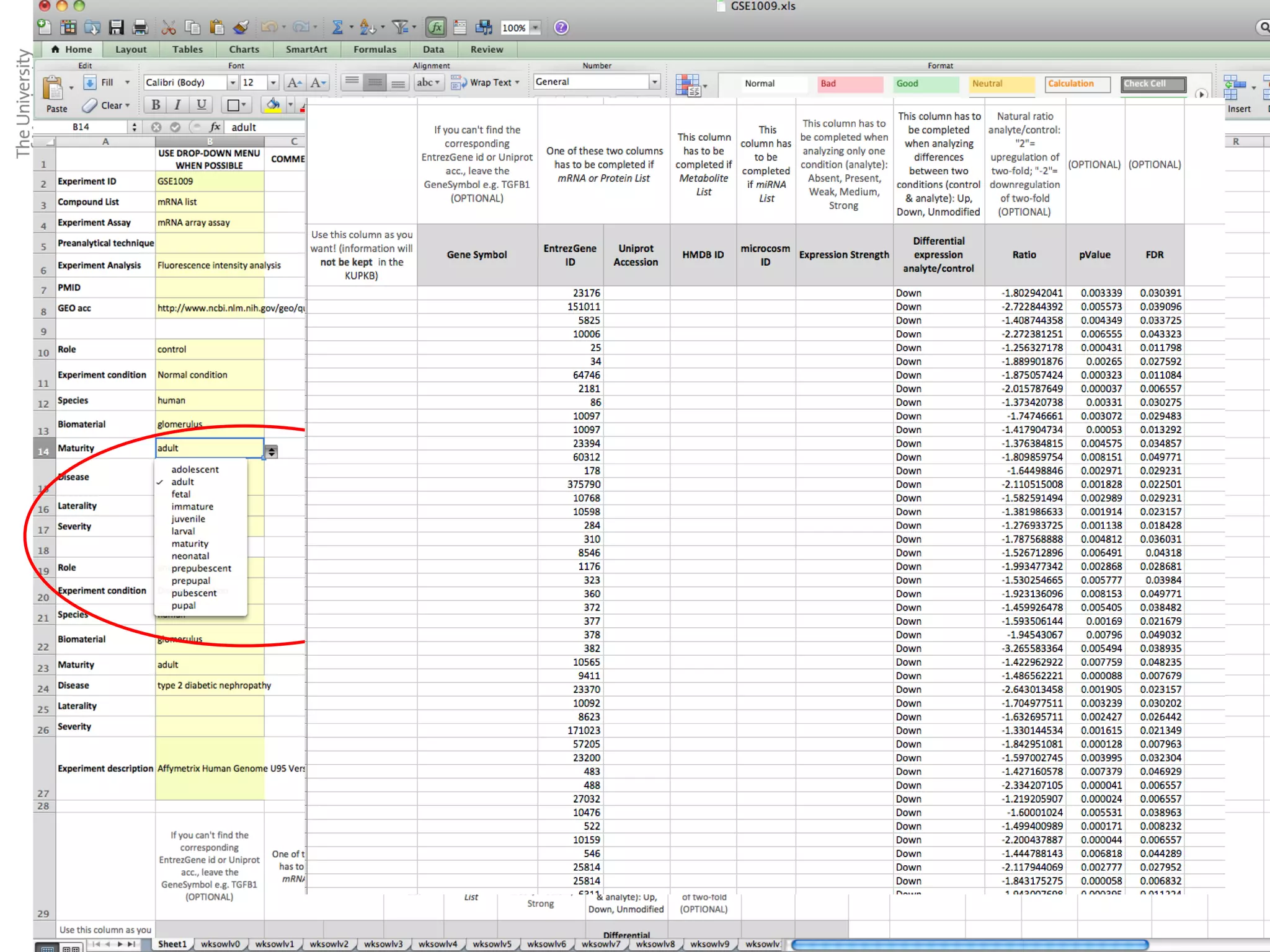 Describing/Collecting experimental data
Gathering good meta-data AND data again by stealth using RightField




                      Content of the meta-data cells is constraint to
                      the relevant set of KUPO terms
 