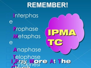 Ø       Interphas
    e
Ø       Prophase
                    IPMA
Ø       Metaphas
    e               TC
Ø    Anaphase
Ø    Telophase
    I Pray More At The
Ø    Cytokinesi
 