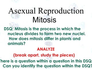 Asexual Reproduction
                 Mitosis
  DSQ: Mitosis is the process in which the
    nucleus divides to form two new nuclei.
     How does mitosis differ in plants and
    animals?
                    ANALYZE
        (break apart, study the pieces)
There is a question within a question in this DSQ.
  Can you identify the question within the DSQ?
                          8                   8
 