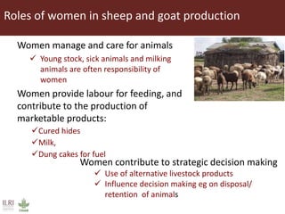 Integrating socio-economic attributes of rural communities in small ruminant improvement programs in sub-Saharan Africa