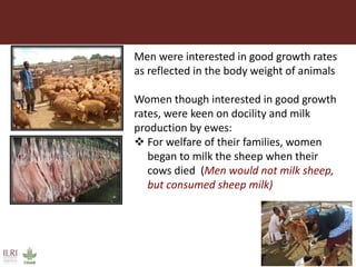 Integrating socio-economic attributes of rural communities in small ruminant improvement programs in sub-Saharan Africa