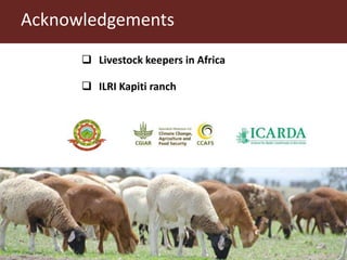 Integrating socio-economic attributes of rural communities in small ruminant improvement programs in sub-Saharan Africa
