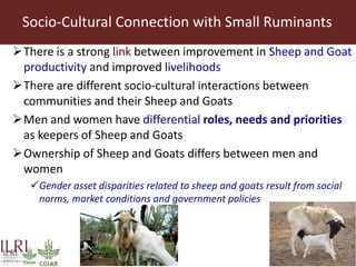 Integrating socio-economic attributes of rural communities in small ruminant improvement programs in sub-Saharan Africa