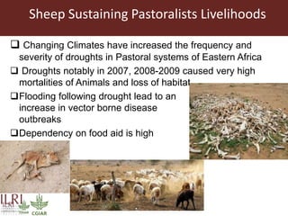 Integrating socio-economic attributes of rural communities in small ruminant improvement programs in sub-Saharan Africa
