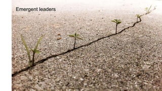 FORTUNE Magazine World's Most Admired Companies®
2014 | 2015 | 2016 | 2017
Emergent leaders
 