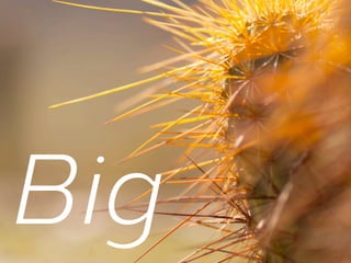 Big

 