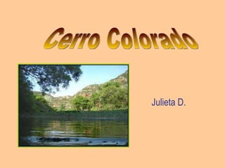 Julieta D. Cerro Colorado 