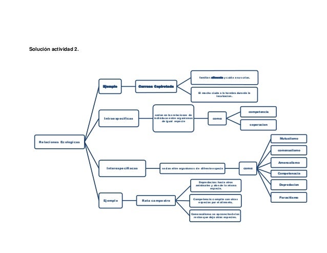 Julieta Hidalgo _ aporte individual_trabajo colaborativo