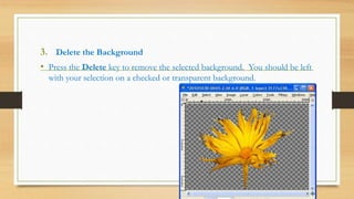 3. Delete the Background
• Press the Delete key to remove the selected background. You should be left
with your selection on a checked or transparent background.
 