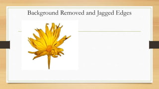 Background Removed and Jagged Edges
 