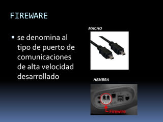 FIREWARE
                     MACHO

 se denomina al
 tipo de puerto de
 comunicaciones
 de alta velocidad
 desarrollado         HEMBRA
 
