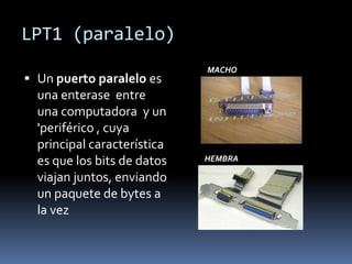 LPT1 (paralelo)
                             MACHO
 Un puerto paralelo es
  una enterase entre
  una computadora y un
  'periférico , cuya
  principal característica
  es que los bits de datos   HEMBRA

  viajan juntos, enviando
  un paquete de bytes a
  la vez
 