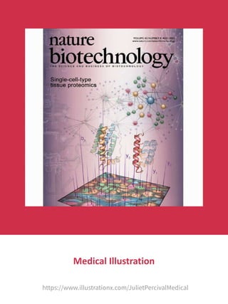 Juliet Percival Medical - Medical & Scientific Illustrator, UK.pdf