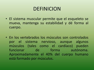 DEFINICION
• El sistema muscular permite que el esqueleto se
mueva, mantenga su estabilidad y dé forma al
cuerpo.
• En los vertebrados los músculos son controlados
por el sistema nervioso, aunque algunos
músculos (tales como el cardíaco) pueden
funcionar
de
forma
autónoma.
Aproximadamente el 40% del cuerpo humano
está formado por músculos.

 