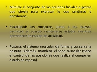 • Mímica: el conjunto de las acciones faciales o gestos
que sirven para expresar lo que sentimos y
percibimos.
• Estabilidad: los músculos, junto a los huesos
permiten al cuerpo mantenerse estable mientras
permanece en estado de actividad.

• Postura: el sistema muscular da forma y conserva la
postura. Además, mantiene el tono muscular (tiene
el control de las posiciones que realiza el cuerpo en
estado de reposo).

 