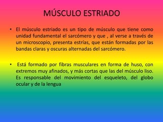 MÚSCULO ESTRIADO
• El músculo estriado es un tipo de músculo que tiene como
unidad fundamental el sarcómero y que , al verse a través de
un microscopio, presenta estrías, que están formadas por las
bandas claras y oscuras alternadas del sarcómero.
•

Está formado por fibras musculares en forma de huso, con
extremos muy afinados, y más cortas que las del músculo liso.
Es responsable del movimiento del esqueleto, del globo
ocular y de la lengua

 
