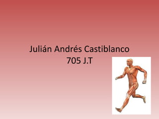 Julián Andrés Castiblanco
705 J.T

 
