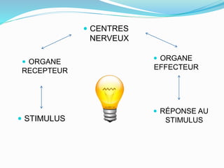  ORGANE
RECEPTEUR
STIMULUS
ORGANE
EFFECTEUR
CENTRES
NERVEUX
RÉPONSE AU
STIMULUS