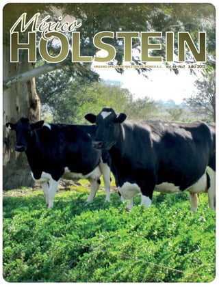 Revista Julio Holstein 2013