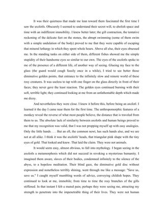 It was their quietness that made me lean toward them fascinated the first time I
saw the axolotls. Obscurely I seemed to understand their secret will, to abolish space and
time with an indifferent immobility. I knew better later; the gill contraction, the tentative
reckoning of the delicate feet on the stones, the abrupt swimming (some of them swim
with a simple undulation of the body) proved to me that they were capable of escaping
that mineral lethargy in which they spent whole hours. Above all else, their eyes obsessed
me. In the standing tanks on either side of them, different fishes showed me the simple
stupidity of their handsome eyes so similar to our own. The eyes of the axolotls spoke to
me of the presence of a different life, of another way of seeing. Glueing my face to the
glass (the guard would cough fussily once in a while), I tried to see better those
diminutive golden points, that entrance to the infinitely slow and remote world of these
rosy creatures. It was useless to tap with one finger on the glass directly in front of their
faces; they never gave the least reaction. The golden eyes continued burning with their
soft, terrible light; they continued looking at me from an unfathomable depth which made
me dizzy.
       And nevertheless they were close. I knew it before this, before being an axolotl. I
learned it the day I came near them for the first time. The anthropomorphic features of a
monkey reveal the reverse of what most people believe, the distance that is traveled from
them to us. The absolute lack of similarity between axolotls and human beings proved to
me that my recognition was valid, that I was not propping myself up with easy analogies.
Only the little hands . . . But an eft, the common newt, has such hands also, and we are
not at all alike. I think it was the axolotls' heads, that triangular pink shape with the tiny
eyes of gold. That looked and knew. That laid the claim. They were not animals.
       It would seem easy, almost obvious, to fall into mythology. I began seeing in the
axolotls a metamorphosis which did not succeed in revoking a mysterious humanity. I
imagined them aware, slaves of their bodies, condemned infinitely to the silence of the
abyss, to a hopeless meditation. Their blind gaze, the diminutive gold disc without
expression and nonetheless terribly shining, went through me like a message: "Save us,
save us." I caught myself mumbling words of advice, conveying childish hopes. They
continued to look at me, immobile; from time to time the rosy branches of the gills
stiffened. In that instant I felt a muted pain; perhaps they were seeing me, attracting my
strength to penetrate into the impenetrable thing of their lives. They were not human
 