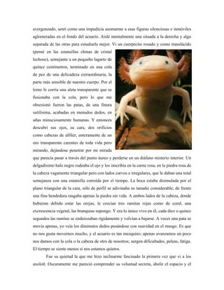 avergonzado, sentí como una impudicia asomarme a esas figuras silenciosas e inmóviles
aglomeradas en el fondo del acuario. Aislé mentalmente una situada a la derecha y algo
separada de las otras para estudiarla mejor. Vi un cuerpecito rosado y como translúcido
(pensé en las estatuillas chinas de cristal
lechoso), semejante a un pequeño lagarto de
quince centímetros, terminado en una cola
de pez de una delicadeza extraordinaria, la
parte más sensible de nuestro cuerpo. Por el
lomo le corría una aleta transparente que se
fusionaba con la cola, pero lo que me
obsesionó fueron las patas, de una finura
sutilísima, acabadas en menudos dedos, en
uñas minuciosamente humanas. Y entonces
descubrí sus ojos, su cara, dos orificios
como cabezas de alfiler, enteramente de un
oro transparente carentes de toda vida pero
mirando, dejándose penetrar por mi mirada
que parecía pasar a través del punto áureo y perderse en un diáfano misterio interior. Un
delgadísimo halo negro rodeaba el ojo y los inscribía en la carne rosa, en la piedra rosa de
la cabeza vagamente triangular pero con lados curvos e irregulares, que le daban una total
semejanza con una estatuilla corroída por el tiempo. La boca estaba disimulada por el
plano triangular de la cara, sólo de perfil se adivinaba su tamaño considerable; de frente
una fina hendedura rasgaba apenas la piedra sin vida. A ambos lados de la cabeza, donde
hubieran debido estar las orejas, le crecían tres ramitas rojas como de coral, una
excrescencia vegetal, las branquias supongo. Y era lo único vivo en él, cada diez o quince
segundos las ramitas se enderezaban rígidamente y volvían a bajarse. A veces una pata se
movía apenas, yo veía los diminutos dedos posándose con suavidad en el musgo. Es que
no nos gusta movernos mucho, y el acuario es tan mezquino; apenas avanzamos un poco
nos damos con la cola o la cabeza de otro de nosotros; surgen dificultades, peleas, fatiga.
El tiempo se siente menos si nos estamos quietos.
       Fue su quietud la que me hizo inclinarme fascinado la primera vez que vi a los
axolotl. Oscuramente me pareció comprender su voluntad secreta, abolir el espacio y el
 