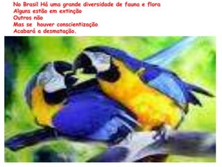 No Brasil Há uma grande diversidade de fauna e flora 
Alguns estão em extinção 
Outros não 
Mas se houver conscientização 
Acabará a desmatação. 
 