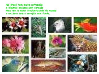 No Brasil tem muita corrupção 
e algumas pessoas sem coração 
Mas tem a maior biodiversidade do mundo 
e um povo com o coração sem fundo. 
 