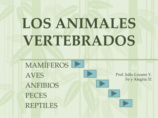 LOS ANIMALES
VERTEBRADOS
MAMÍFEROS
AVES        Prof. Julio Lozano Y.
                  Fe y Alegría 32
ANFIBIOS
PECES
REPTILES
 