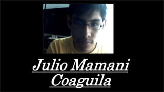 Julio Mamani 
Coaguila 
 