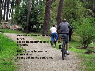 Oro vivido es este oro, noche joven,  espejo de las playas bajo el rumor, cristales.  hálito fresco del verano,  brama el mar,  trueno del mundo contra mí.  