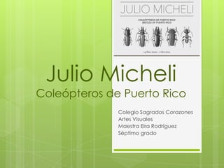 Julio Micheli
Coleópteros de Puerto Rico
              Colegio Sagrados Corazones
              Artes Visuales
              Maestra Eira Rodríguez
              Séptimo grado
 