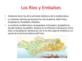 Los Ríos y Embalses
• Andalucía tiene ríos de la vertiente atlántica y de la mediterránea.
• La vertiente atlántica pertenecen los ríos Guadiana, Odiel-Tinto,
  Guadalquivir, Guadalete y Bárbate.
• La vertiente mediterránea corresponden el Guadiaro, Guadalhorce,
  Guadal medina, Guadalfeo, Andarax (o río Almería) y Almanzora. Entre
  ellos, el Guadalquivir destaca por ser el río más largo de Andalucía y el
  quinto de la Península Ibérica (657 km).
 