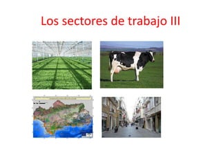 Los sectores de trabajo III
 