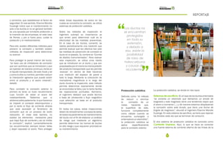 56 57
REPORTAJE
“
”
Los ductos no
se encuentran
protegidos
en toda su
extensión,
y debido a
eso, existe la
posibilidad
de robo de
hidrocarburos
y causas de
accidentes.
o correctivo, que restablezcan el factor de
seguridad. En ese sentido, Etienne Mondie
Cuzange indicó que el mantenimiento no
solo a los ductos si no en general también
es una apuesta por brindarle protección a
la inversión de las empresas, en este caso
de Pemex, y por si fuera poco, cuidar la
población y el medioambiente.
Para ello, existen diferentes métodos para
prevenir la corrosión y también existen
métodos de inspección para determinar
su avance:
Para proteger la pared interior del ducto,
“se hace uso de inhibidores de corrosión
que son químicos que se introducen y que
se inyectan de manera continua y lenta en
el liquido transportado. De este modo y tal
y como lo dice su nombre, permiten reducir
la interacción agresiva que puede existir
entre el producto y el acero creando”,
detalló.
Para combatir la corrosión exterior lo
primero es tener un buen recubrimiento
cuya función de aislar el acero del
medioambiente. “Sabemos que si
aislamosadecuadamente,loquehacemos
es impedir el contacto electroquímico y
por lo tanto el flujo de corriente directa
que está asociado al fenómeno de
corrosión que es un proceso de óxido
reducción. El crear esta barrera, no
existan los elementos necesarios para
que haya flujo de corriente y así se inhibe
la corrosión”, explicó. Lamentablemente
los recubrimientos siempre tienen fallas
y dejan expuesto el acero. Para proteger
estas áreas expuestas de acero en las
cuales se concentra la corrosión, se utiliza
sistemas de protección catódica.
Sobre los métodos de inspección el
ingeniero subrayó su importancia ya
que sirven para determinar cuál es la
efectividad de las medidas preventivas.
En el caso de los ductos, comentó, se
realiza periodicamente una medición que
permite evaluar qué tan efectiva han sido
las medidas de prevención de corrosión al
ducto en el pasado. Su nombre es “Corrida
de diablos instrumentados”. Para realizar
esta inspección, se utiliza unos robots
que se introducen en el ducto y que son
propulsadosporelmismolamismapresión
del producto transportado que les permite
‘avanzar’ en dentro de éste haciendo
una medición del espesor de pared a
todo lo largo. Mediante la colocación de
marcadores magnéticos a lo largo del
ducto durante la inspección, este método
permite determinar exactamente donde
se encontraba la falla y por lo tanto facilita
las reparaciones puntuales. Asimismo,
el ingeniero destacó que existe técnica
a base de ultrasonido o flujo magnético
cuya selección se base en el producto
transportado.
En todos los casos, estas inspecciones
deben de retroalimentar una base de datos
de todos los parámetros de mantenimiento
del ducto con el fin de elaborar un análisis
de riesgo que mediante un algoritmo
permite determinar los tramos de ductos
en alto riesgo y que requieren prioridad en
su mantenimiento.
Protección catódica
Definida como “el método
de reducir o eliminar
la corrosión de un
metal, haciendo que,
la superficie de este,
funcione completamente
como cátodo cuando se
encuentra sumergido o
enterradoenun electrólito”,
la protección catódica se
aplica específicamente
para la corrosión exterior.
La protección catódica, se divide en dos tipos:
Sistemas de sacrificio:Enelcasodelosductosenterrados
“se conecta un electrodo que llamamos un ánodo de
magnesio y este magnesio tiene una tendencia mayor que
el acero a corroerse (…) y de manera estamos desplazando
la corrosión sobre este ánodo, que tiene una forma de
lingote de magnesio”, abundó el ingeniero Etienne Mondie
Cuzange. En este sistema de sacrificio, se tiene que reponer
los ánodos cada vez que se terminan de consumir.
El otro sistema de protección catódica es conocido como
Corriente impresa. Aquí, lo que se hace es conectar
una fuente externa de corriente alterna de las líneas de la
 